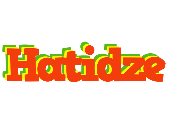 Hatidze bbq logo