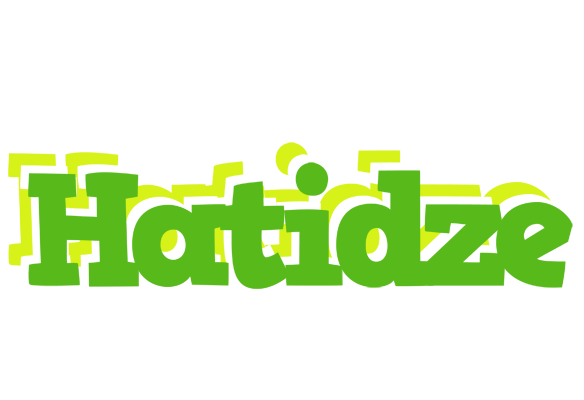 Hatidze picnic logo