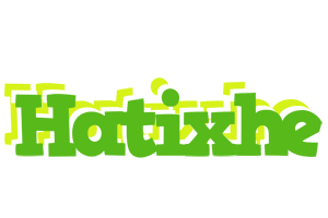 Hatixhe picnic logo