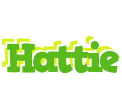 Hattie picnic logo