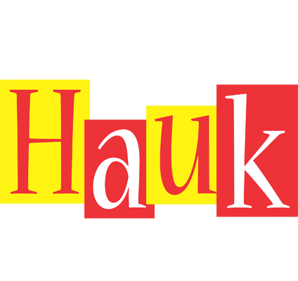Hauk errors logo