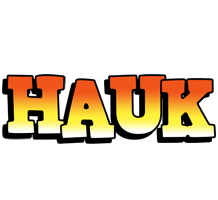 Hauk sunset logo