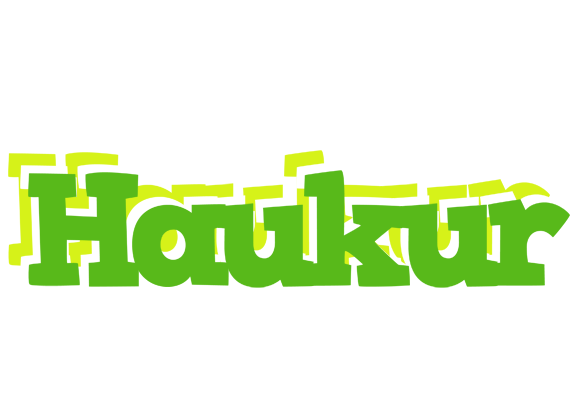 Haukur picnic logo