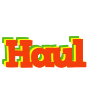 Haul bbq logo