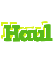 Haul picnic logo