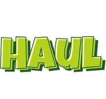 Haul summer logo