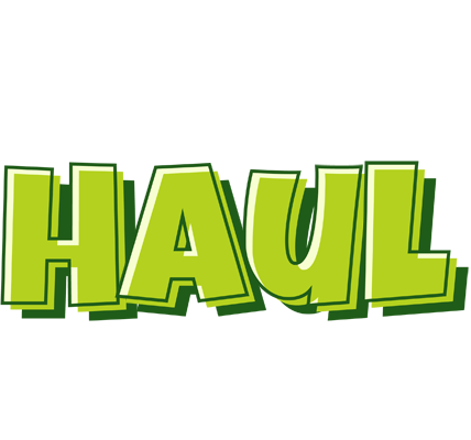 Haul summer logo