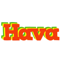 Hava bbq logo