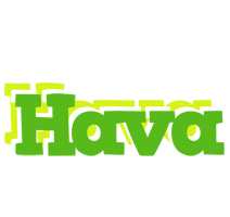 Hava picnic logo