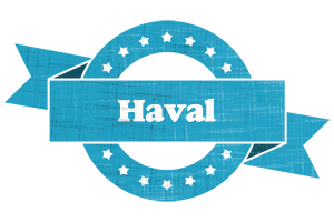 Haval balance logo