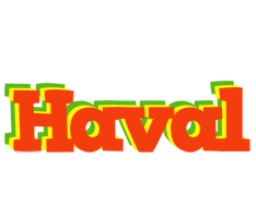 Haval bbq logo