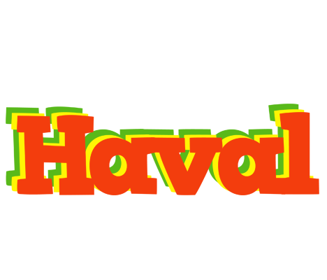 Haval bbq logo
