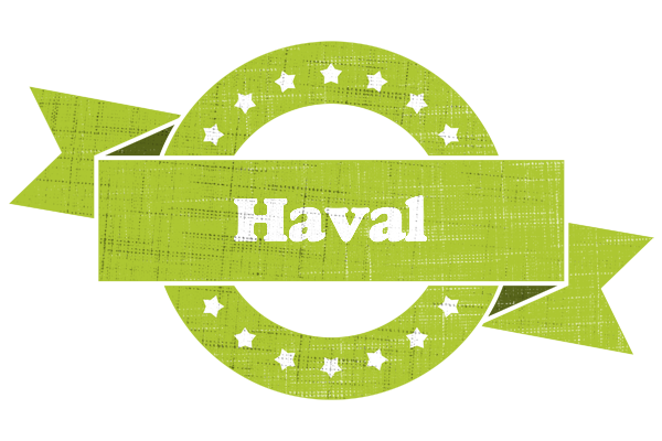 Haval change logo