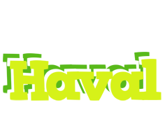 Haval citrus logo