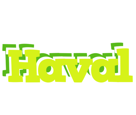 Haval citrus logo