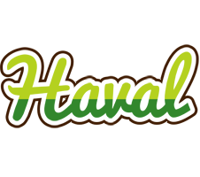 Haval golfing logo