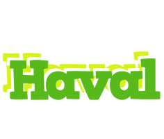 Haval picnic logo