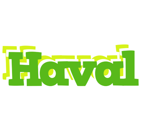 Haval picnic logo