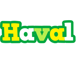 Haval soccer logo