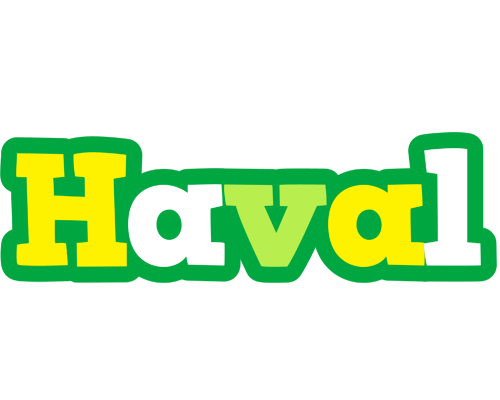 Haval soccer logo