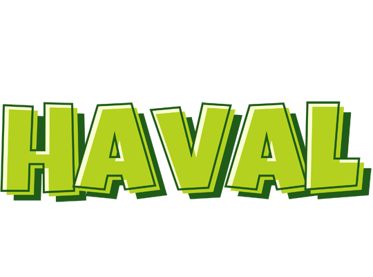 Haval summer logo