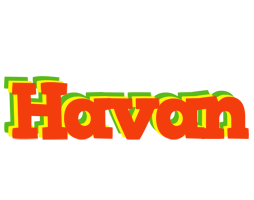 Havan bbq logo