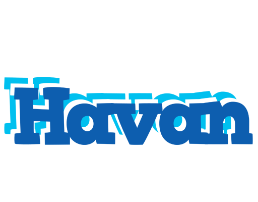 Havan business logo