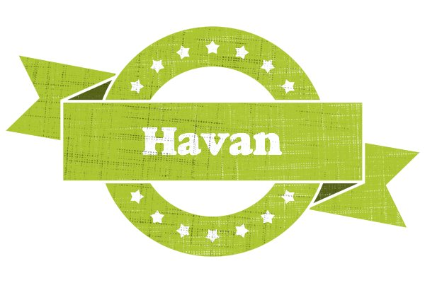 Havan change logo