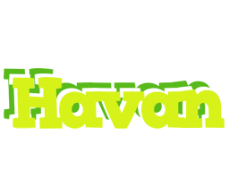 Havan citrus logo