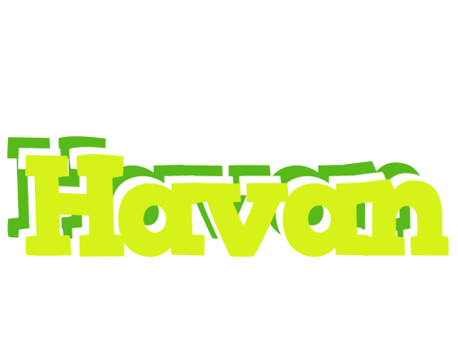Havan citrus logo