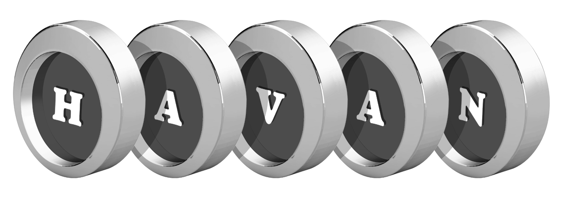 Havan coins logo