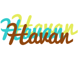 Havan cupcake logo