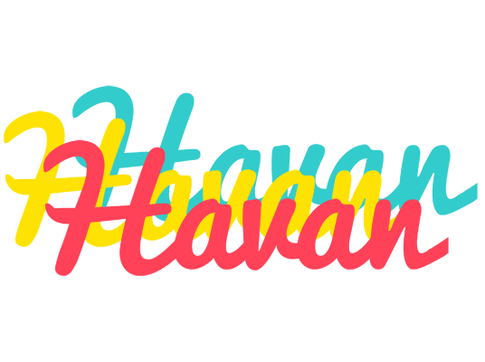 Havan disco logo