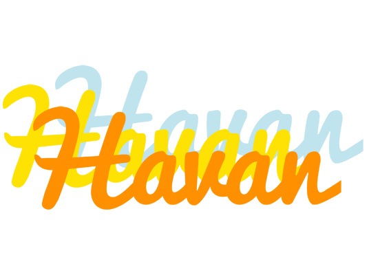 Havan energy logo