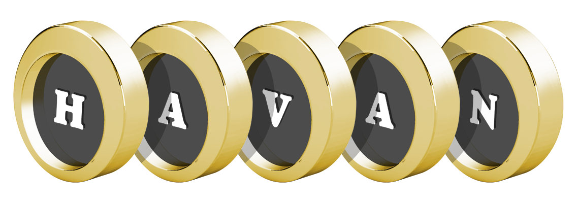 Havan gold logo