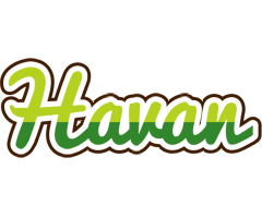 Havan golfing logo