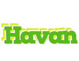 Havan picnic logo