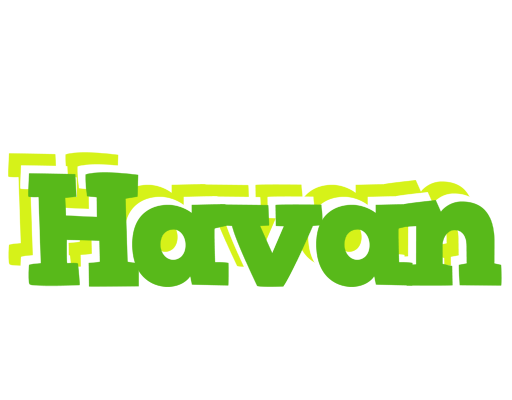 Havan picnic logo