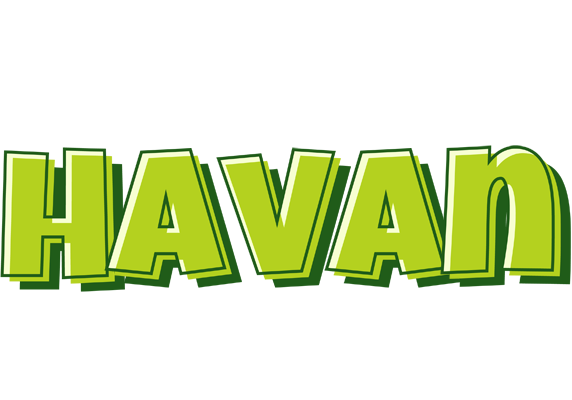 Havan summer logo