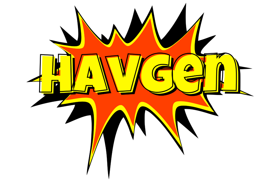 Havgen bazinga logo