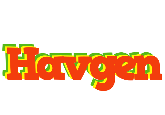 Havgen bbq logo