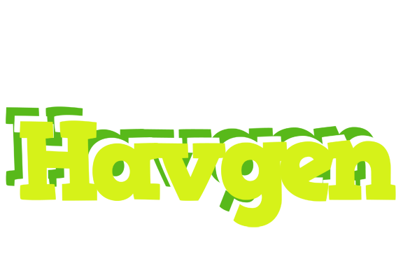 Havgen citrus logo
