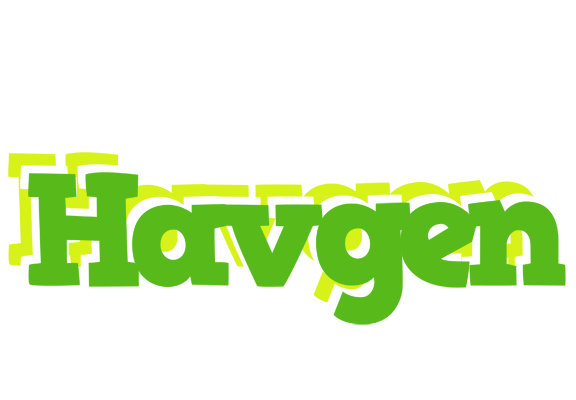 Havgen picnic logo