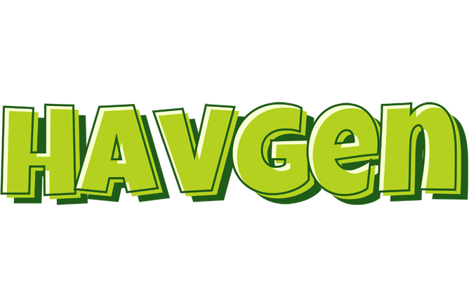 Havgen summer logo
