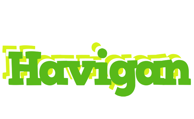 Havigan picnic logo