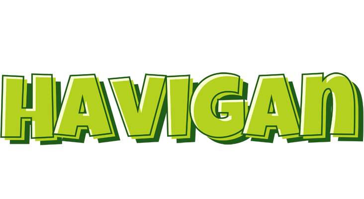 Havigan summer logo
