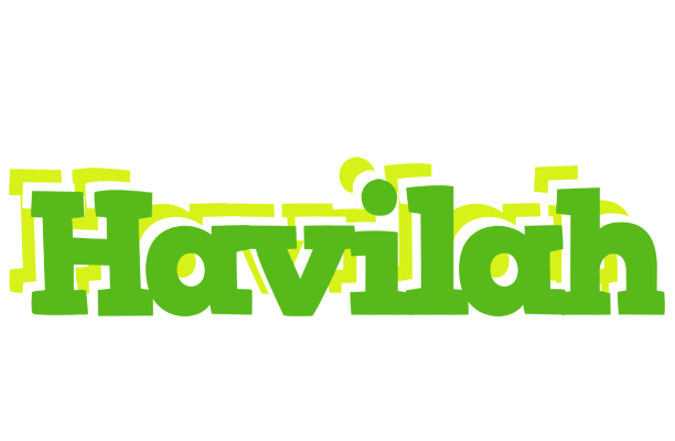 Havilah picnic logo