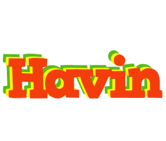 Havin bbq logo