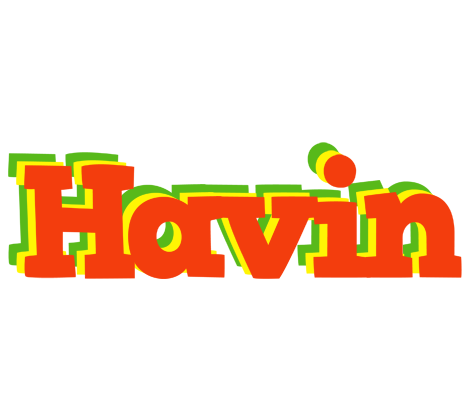 Havin bbq logo