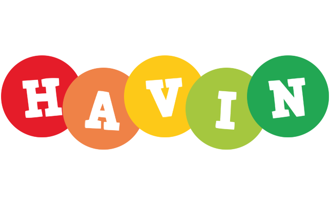 Havin boogie logo